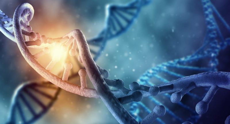 ¿Qué es ADN? - Concepto, Definición y Características
