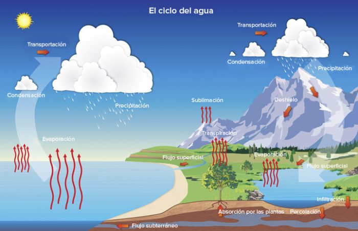 Ciclo Del Agua Esquema