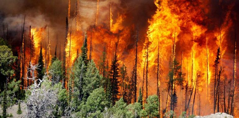 desastres naturales - incendios forestales