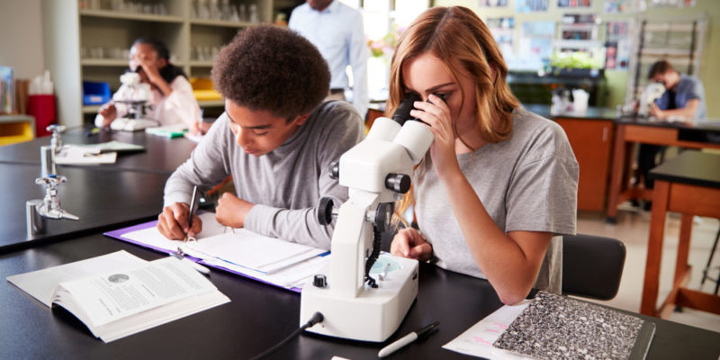 Maestría en Ciencias de la Enseñanza