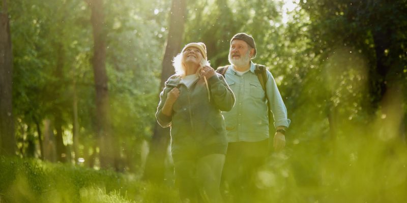 Salud (según la OMS)