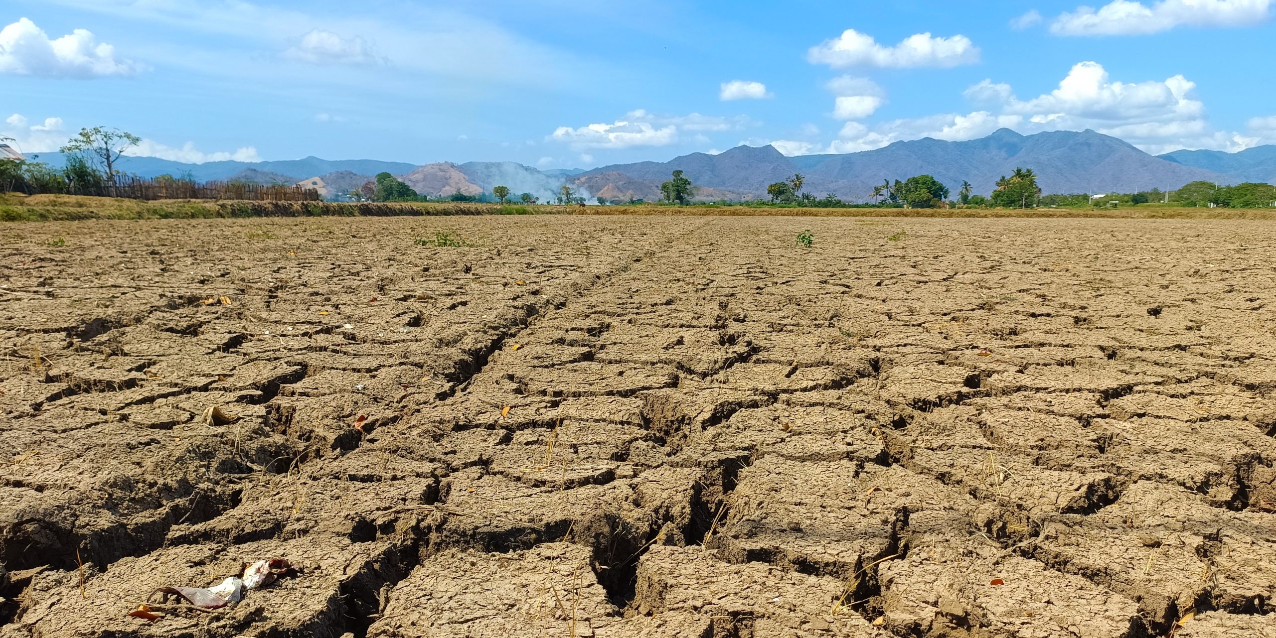 Área desertificada