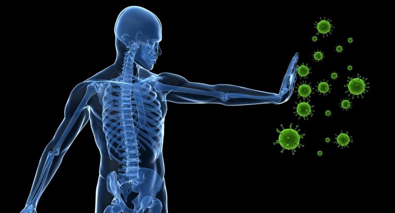 El consumo de proteínas y el sistema inmunológico