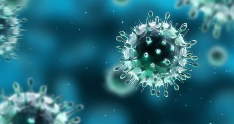 Resultado de imagen de fotos de celulas  antivirus