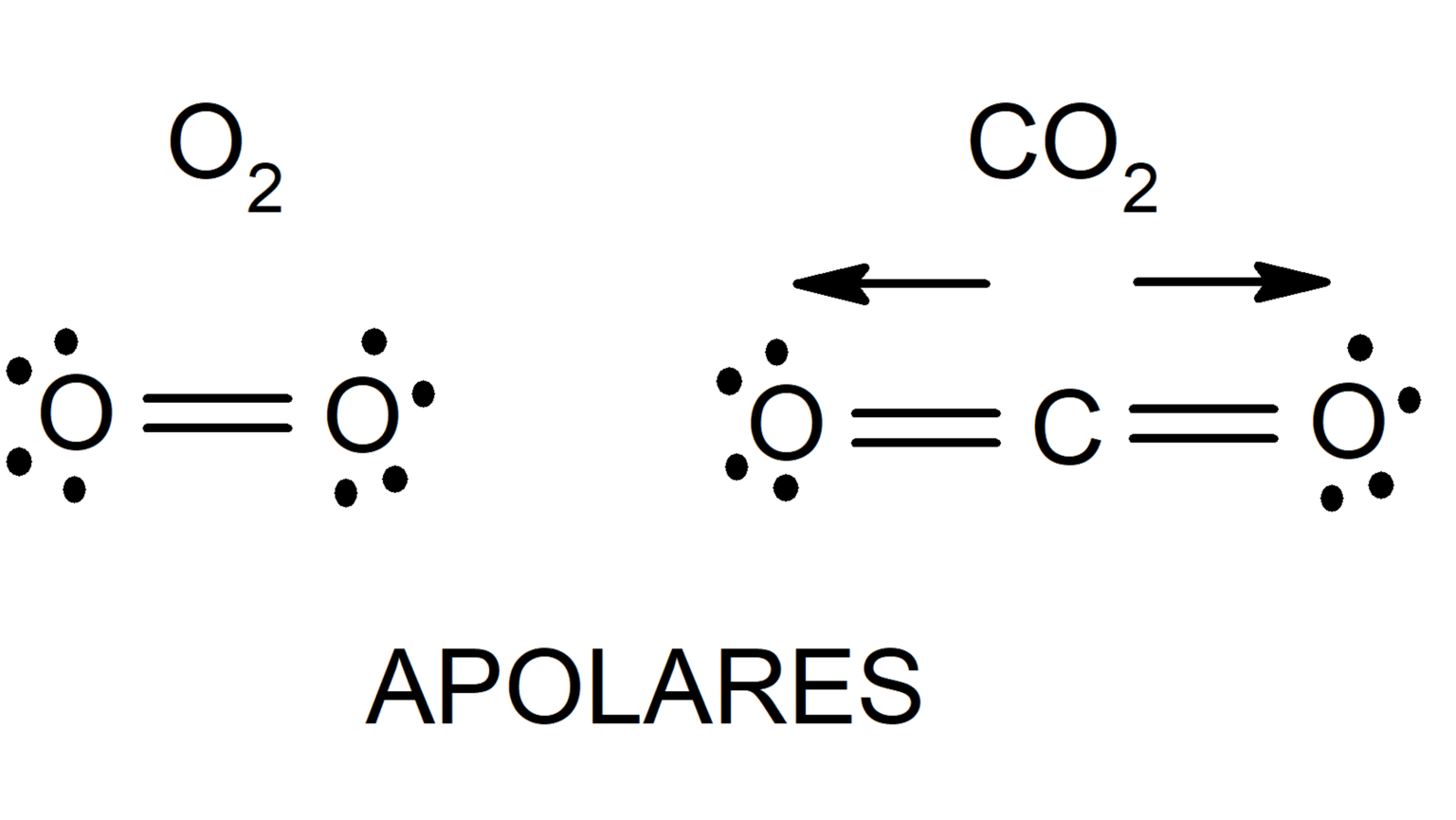 Waals forces interactions waal bonds