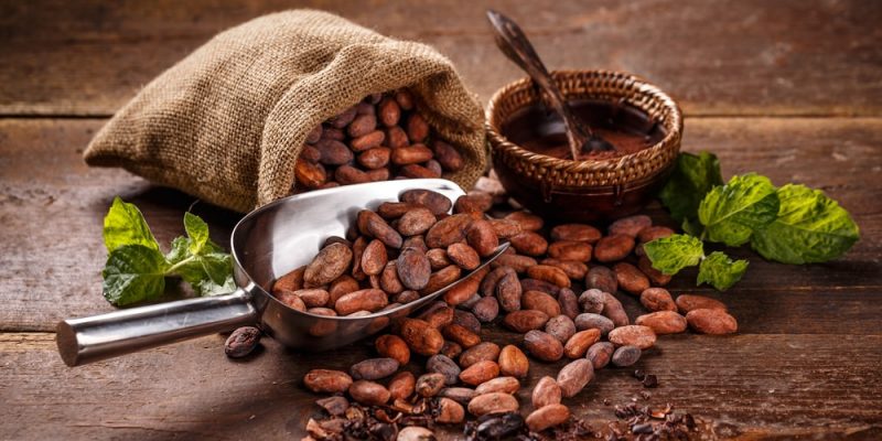 Cacao - Concepto, origen, historia y propiedades