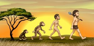 evolución del hombre