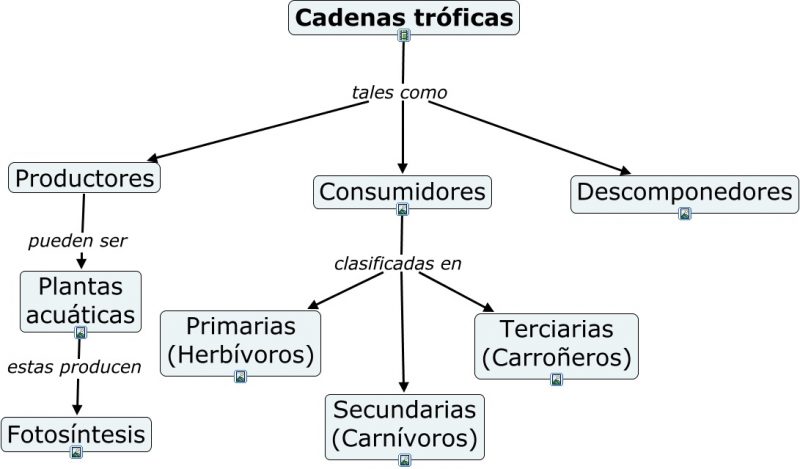 Mapa Conceptual: Concepto, Cómo hacer uno y Ejemplos