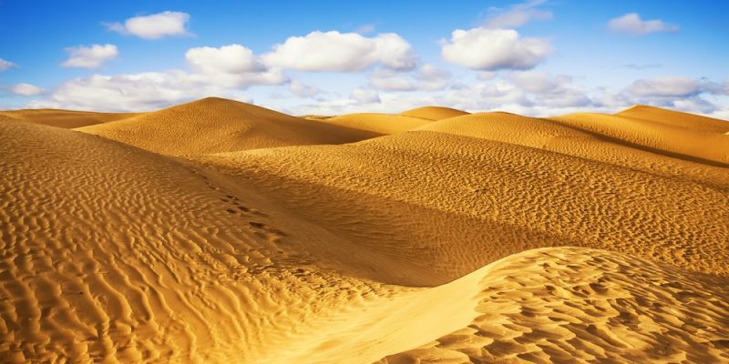 Desierto - Concepto, clima, flora y fauna