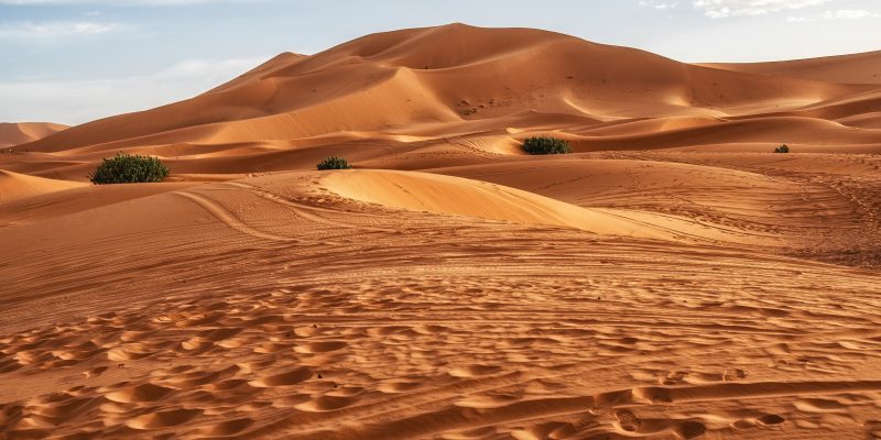 Desierto del Sahara