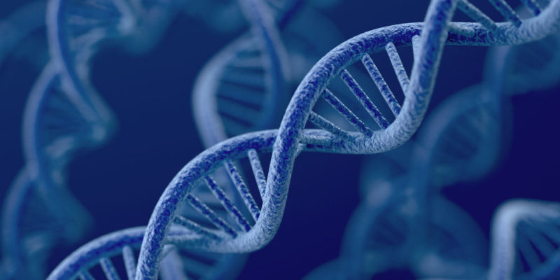 ADN- Herencia - genes