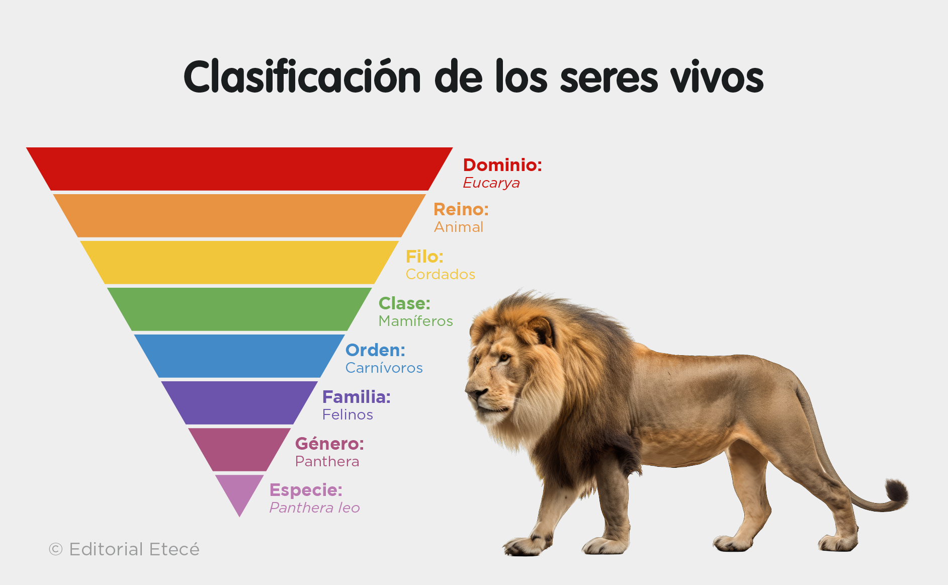 Clasificación de los seres vivos