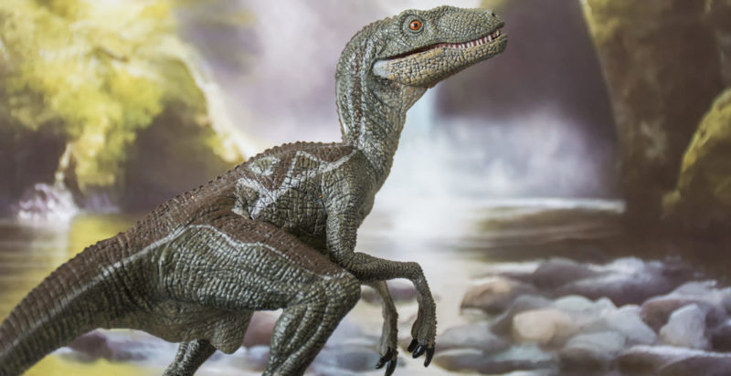 Reptiles - Dinosaurios . velociraptor