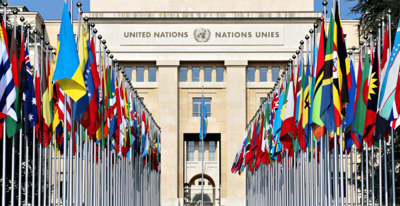 Organismo internacional - ONU