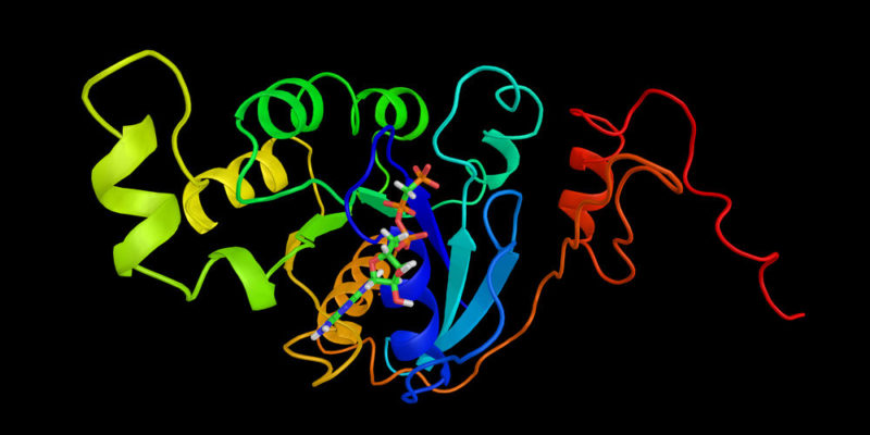Biomolécula - proteínas
