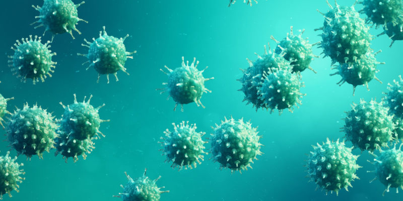 virus - microbiología