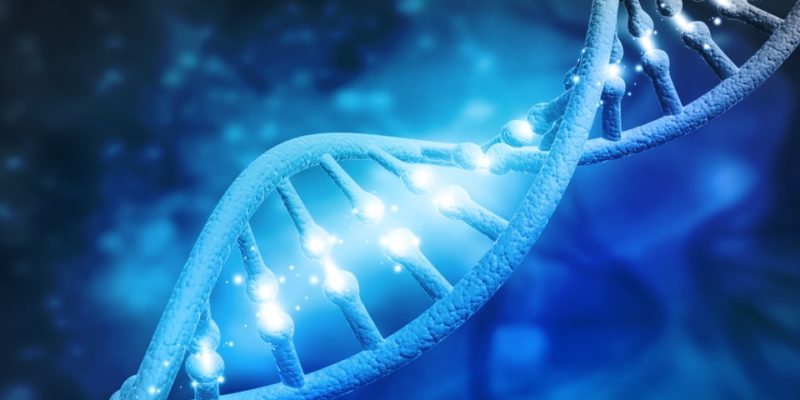 Estructura del ADN - Concepto, descubrimiento, tipos y ARN