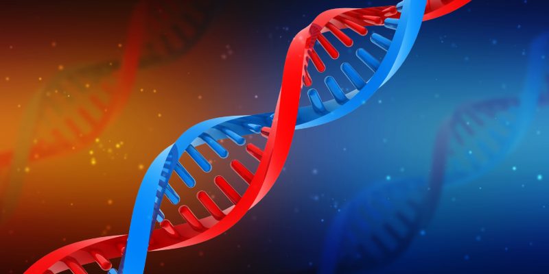 Estructura doble hélice del ADN