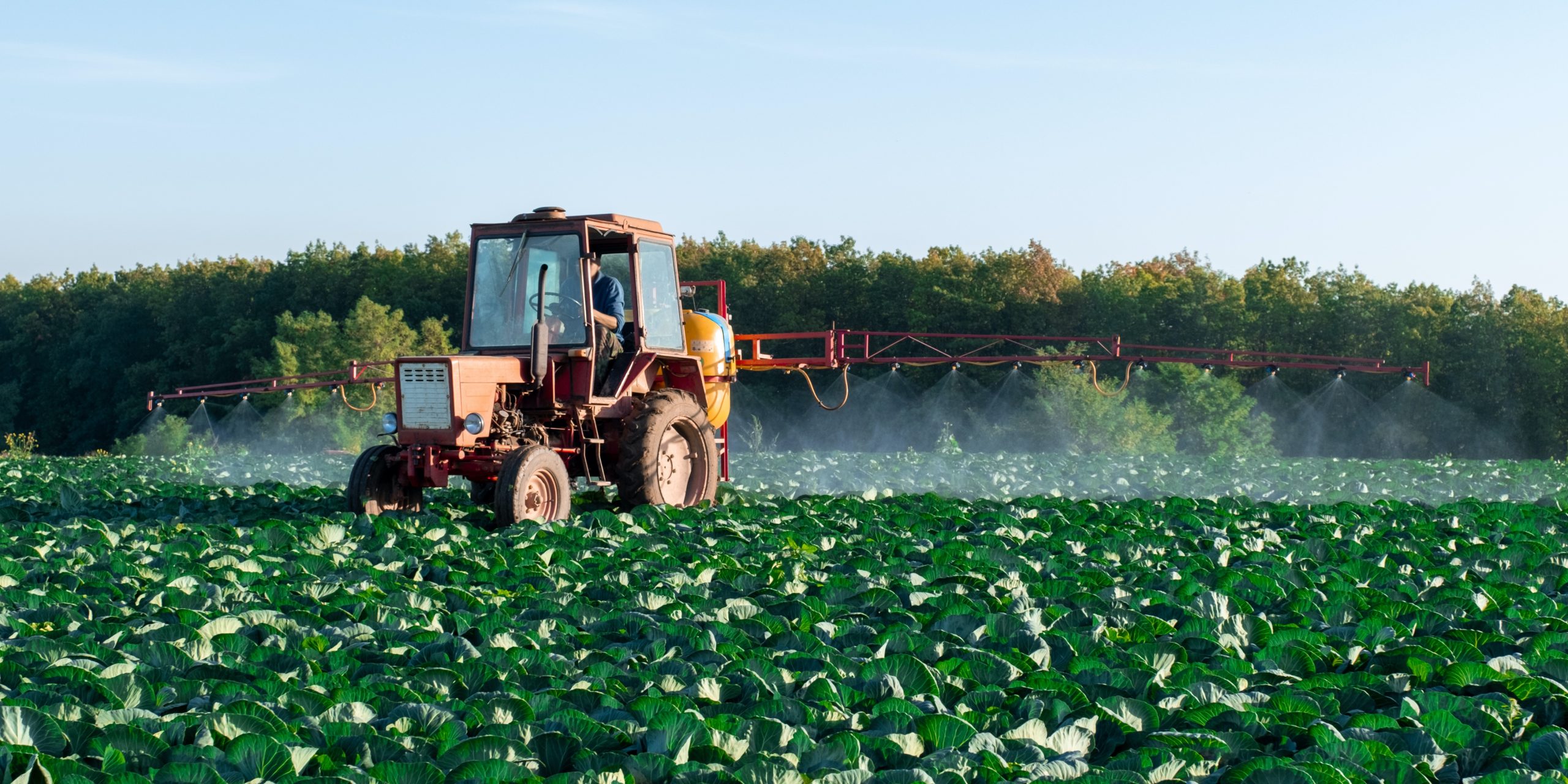 Un tractor fumiga una plantación