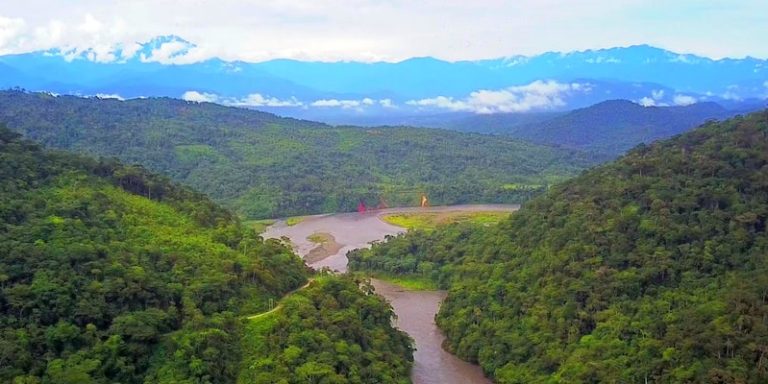 Selva Peruana Historia Ubicación Relieve Flora Y Fauna