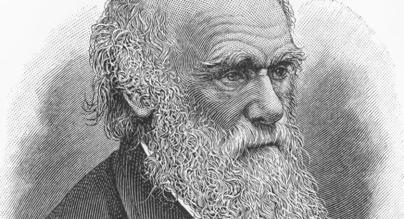 teoria de charles darwin seleccion natural origen de las especies evolucion biografia