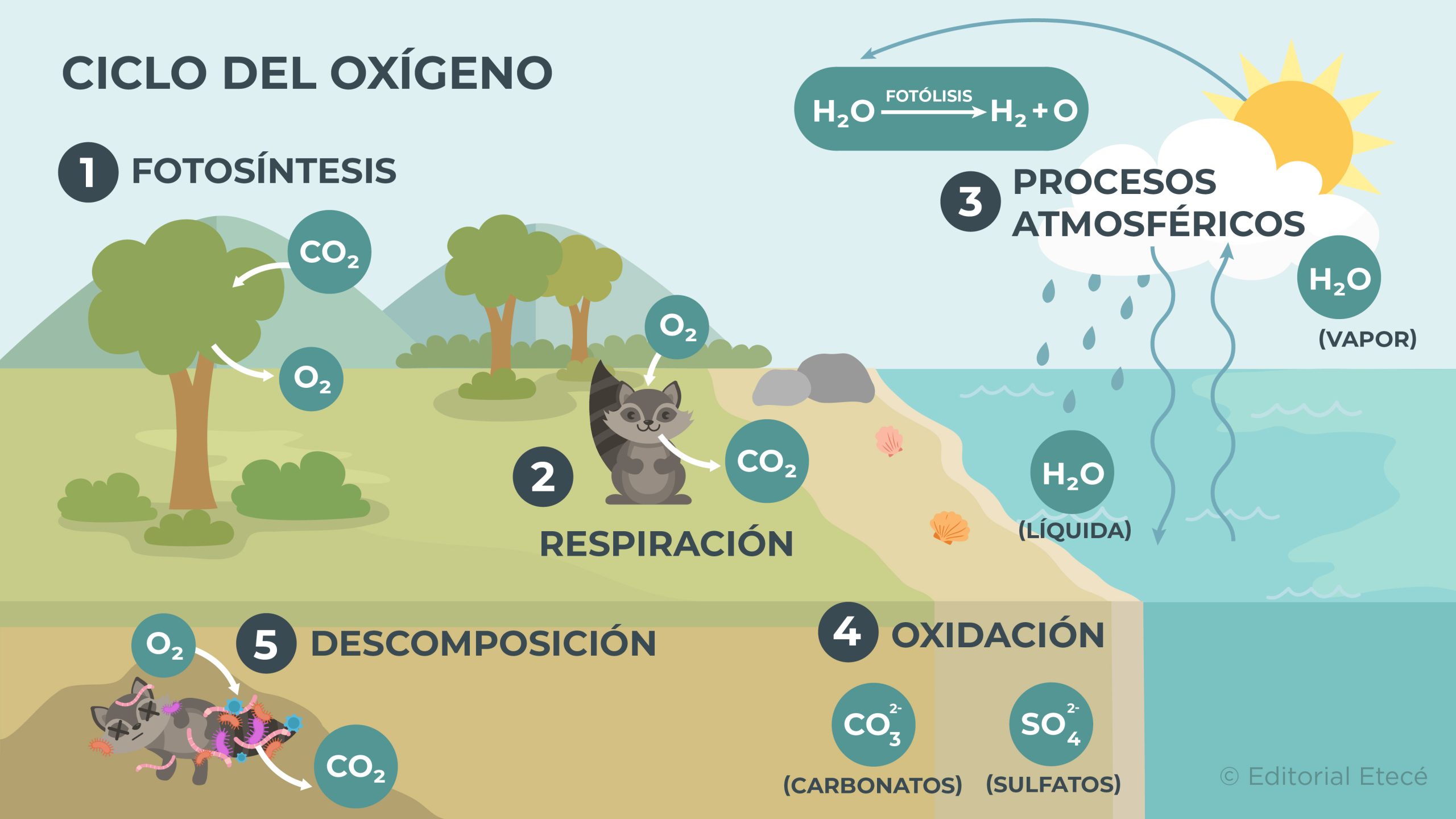 Oxígeno - Qué es, propiedades y usos