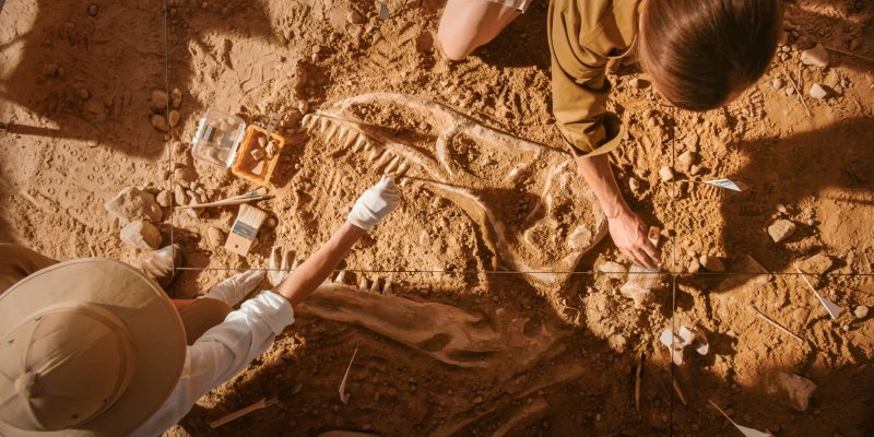 Paleontólogos en una excavación arqueológica.