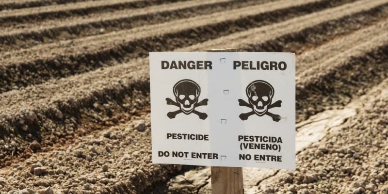 pesticida plaguicida peligro