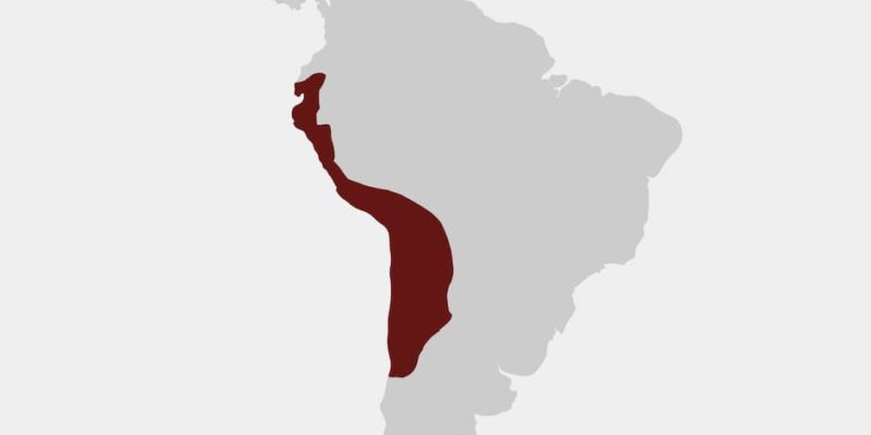 cultura inca imperio mapa