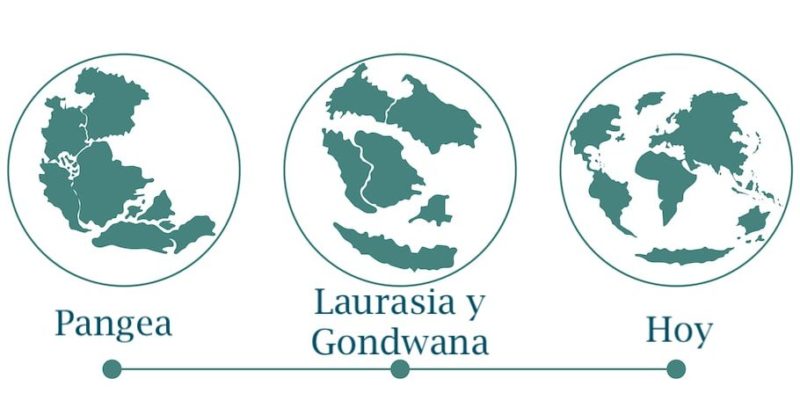 pangea deriva continental teoria laurasia gondwana