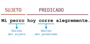 Núcleo del sujeto y del predicado - Qué son y ejemplos