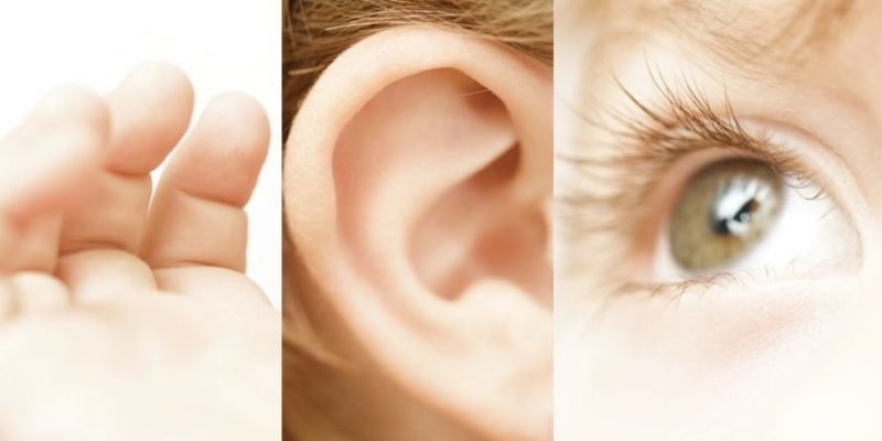 aprendizaje auditivo visual kinestesico