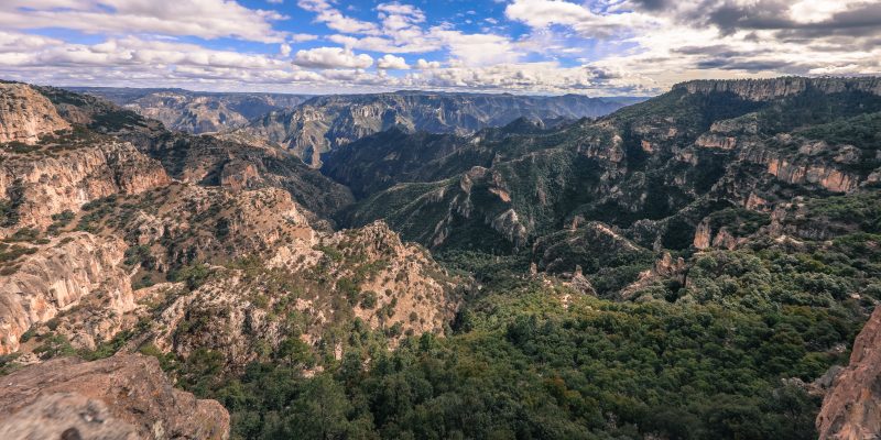 Cañon de Cobre, Sierra Madre Occidental, Chihuahua, México.