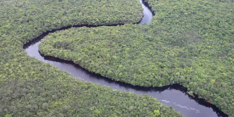 llanura rio orinoco