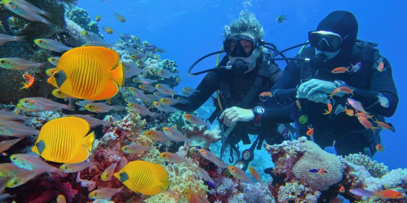 Dos buceadores de Scuba mirando peces en la Barrera de Coral