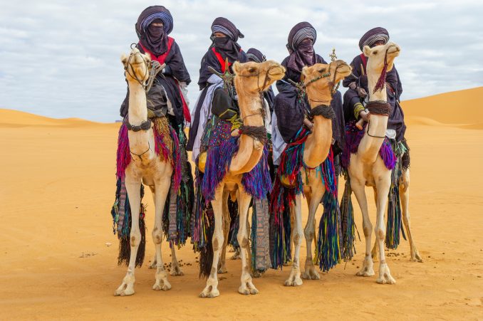 Camellos - Festival en el desierto