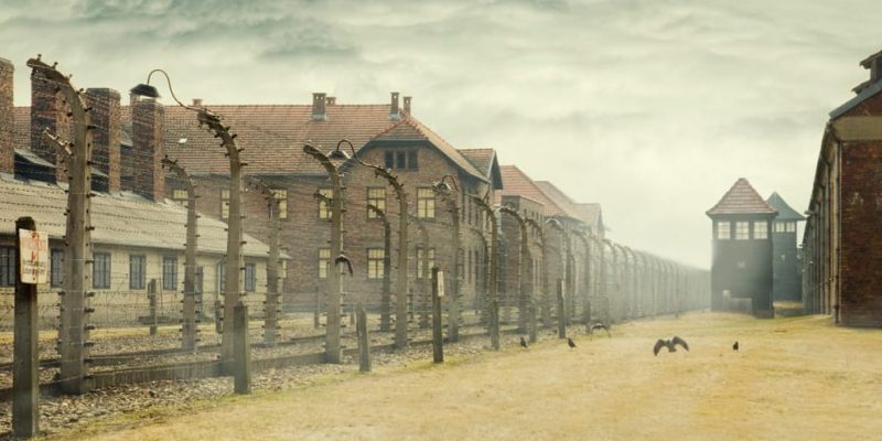 nazismo holocausto