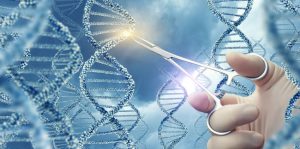 manipulacion genetica