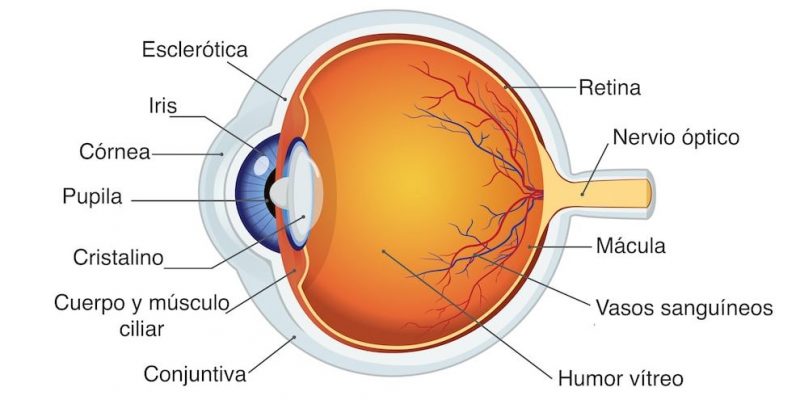 Vista valley film izle