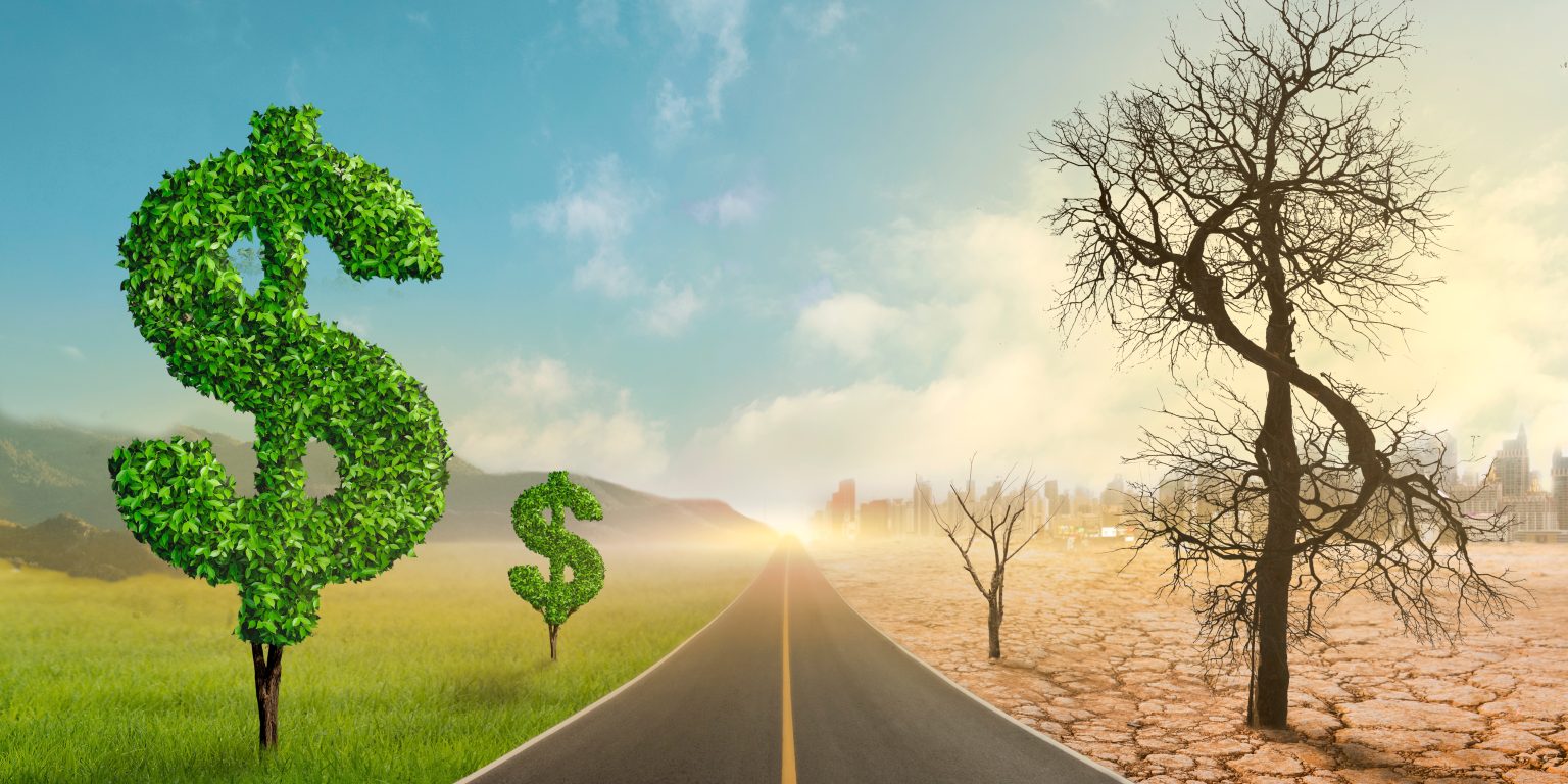 Ventajas y desventajas del capitalismo - Detalles y ejemplos