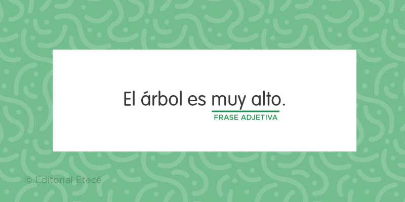 Frases adjetivas