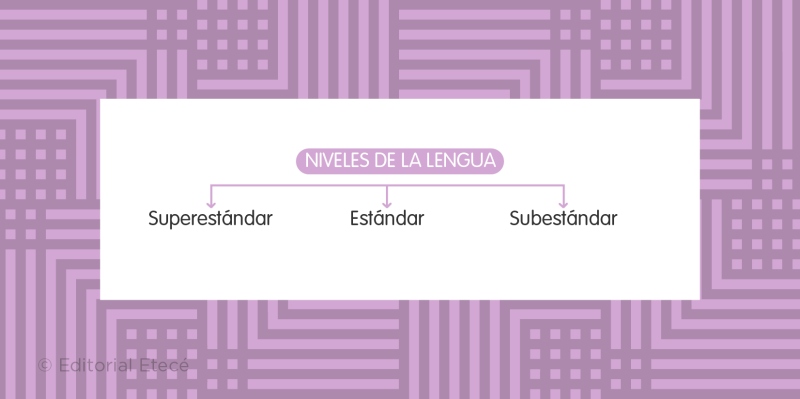 Niveles de la lengua