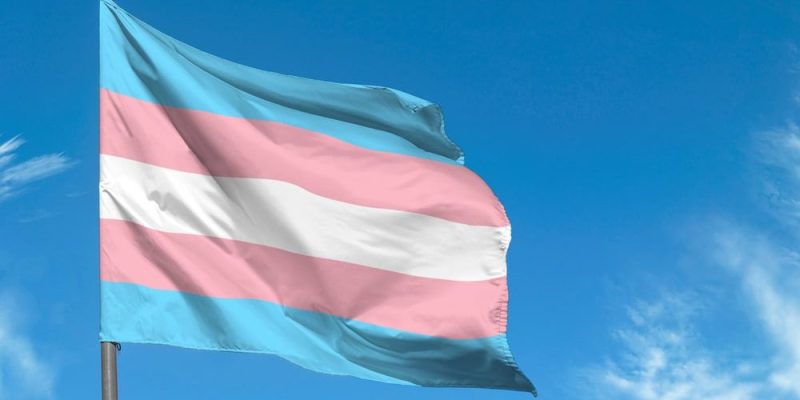 transexual bandera