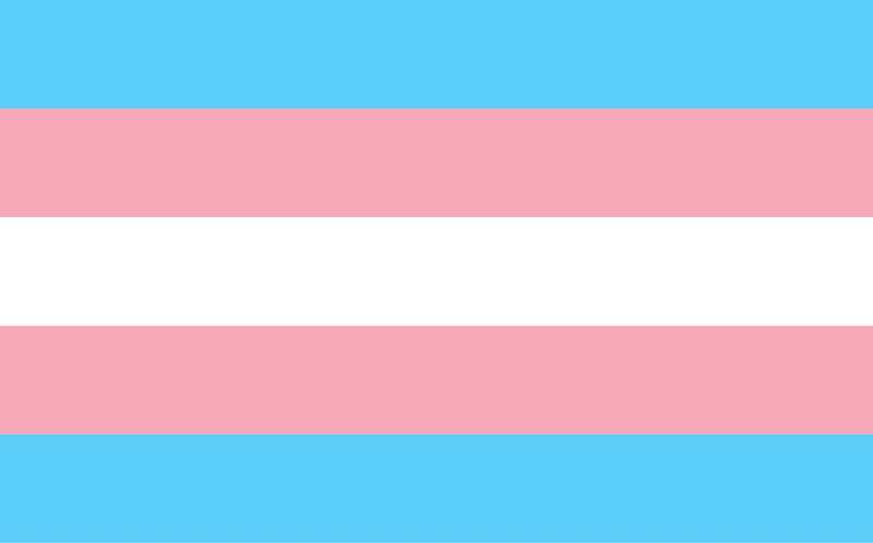 transgenero bandera