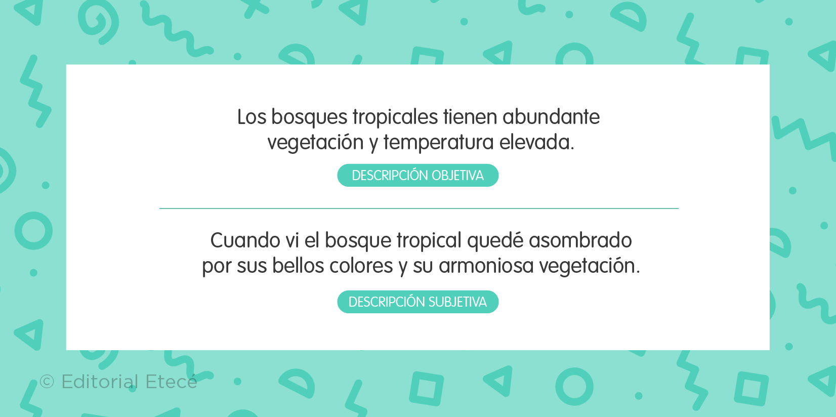 Ejemplos de descripción objetiva y subjetiva