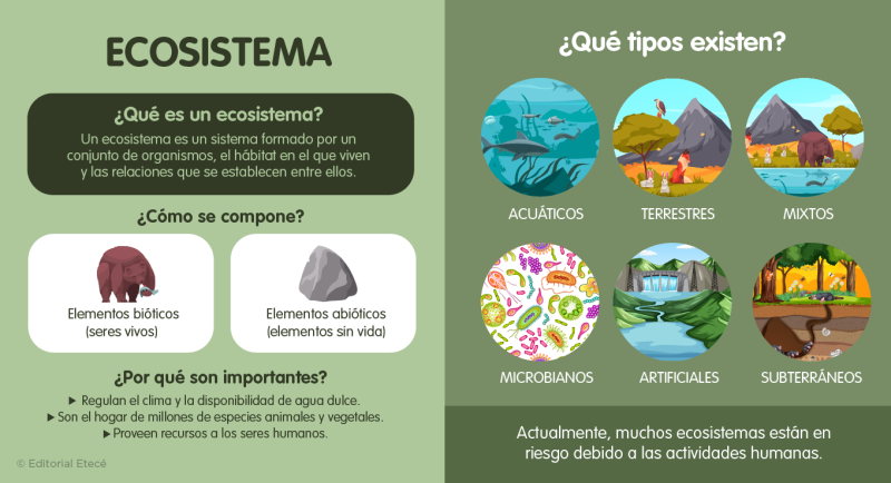 Infografía sobre los ecosistemas