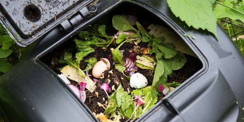 Un contenedor de desechos biodegradables permite la formación de compost.