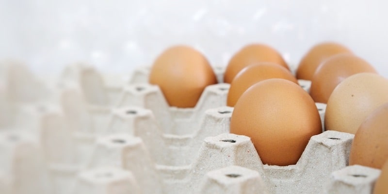 Los huevos y el cartón son ejemplos de materiales biodegradables.