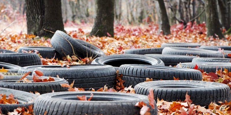 Las cubiertas de automóviles interrumpen el equilibrio ecológico.