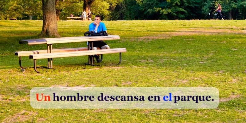 La frase "un hombre descansa en el parque" incluye un artículo definido y uno indefinido.